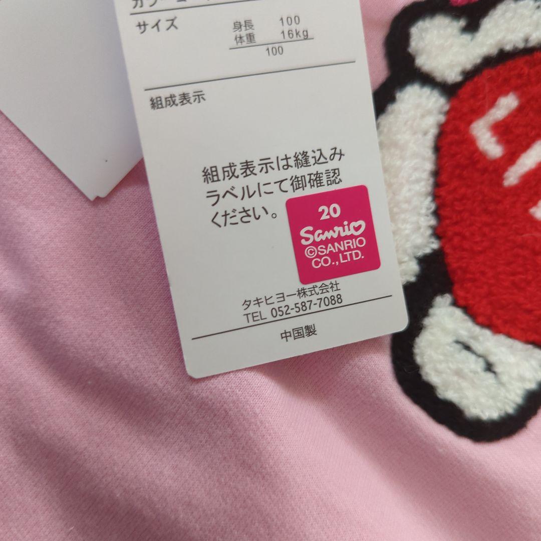 専用　ピカチュウ　マイメロ