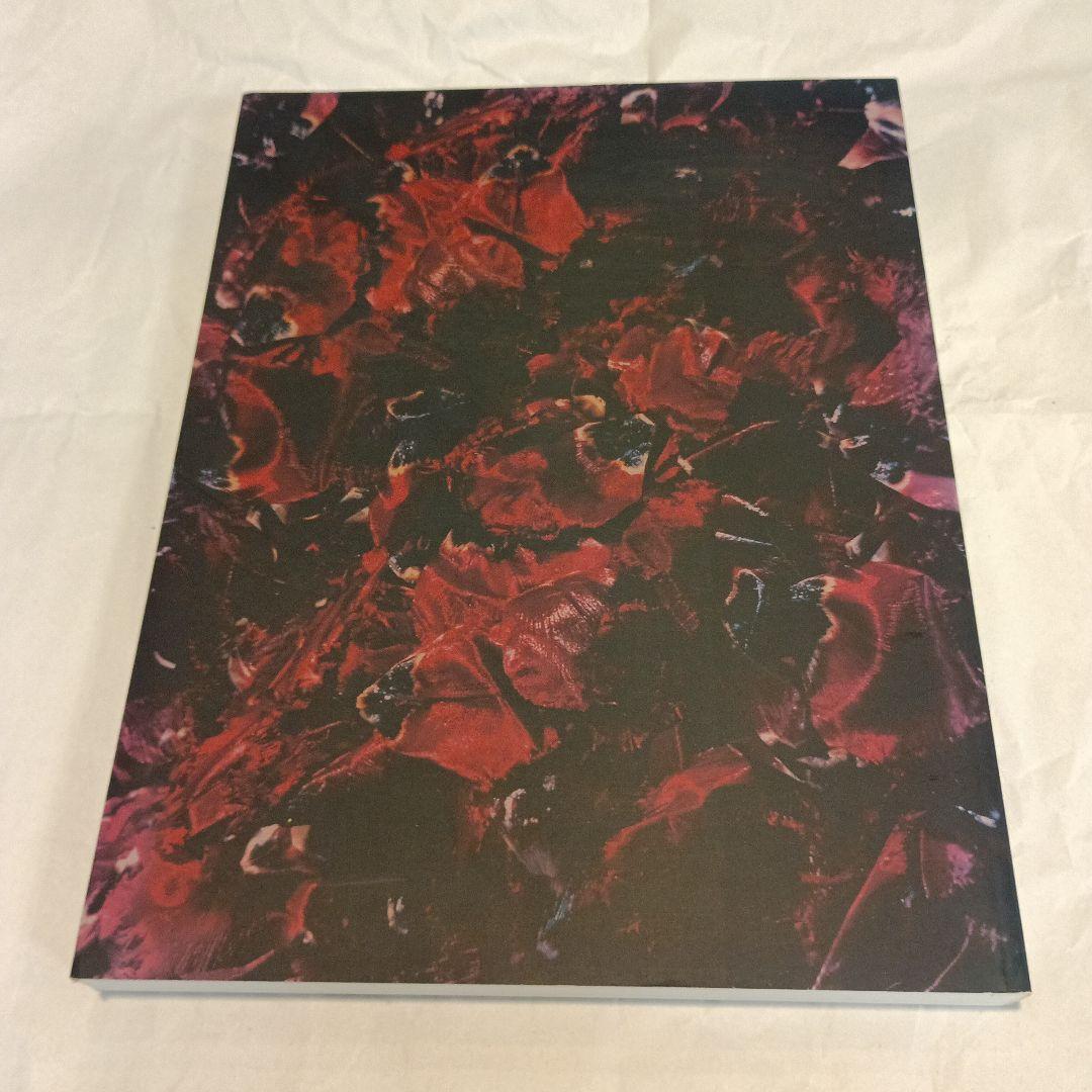 中川幸夫　いのちのかたち 希少] 中川幸夫 ガラス・書 いのちのかたち Nakagawa Yukio 希少