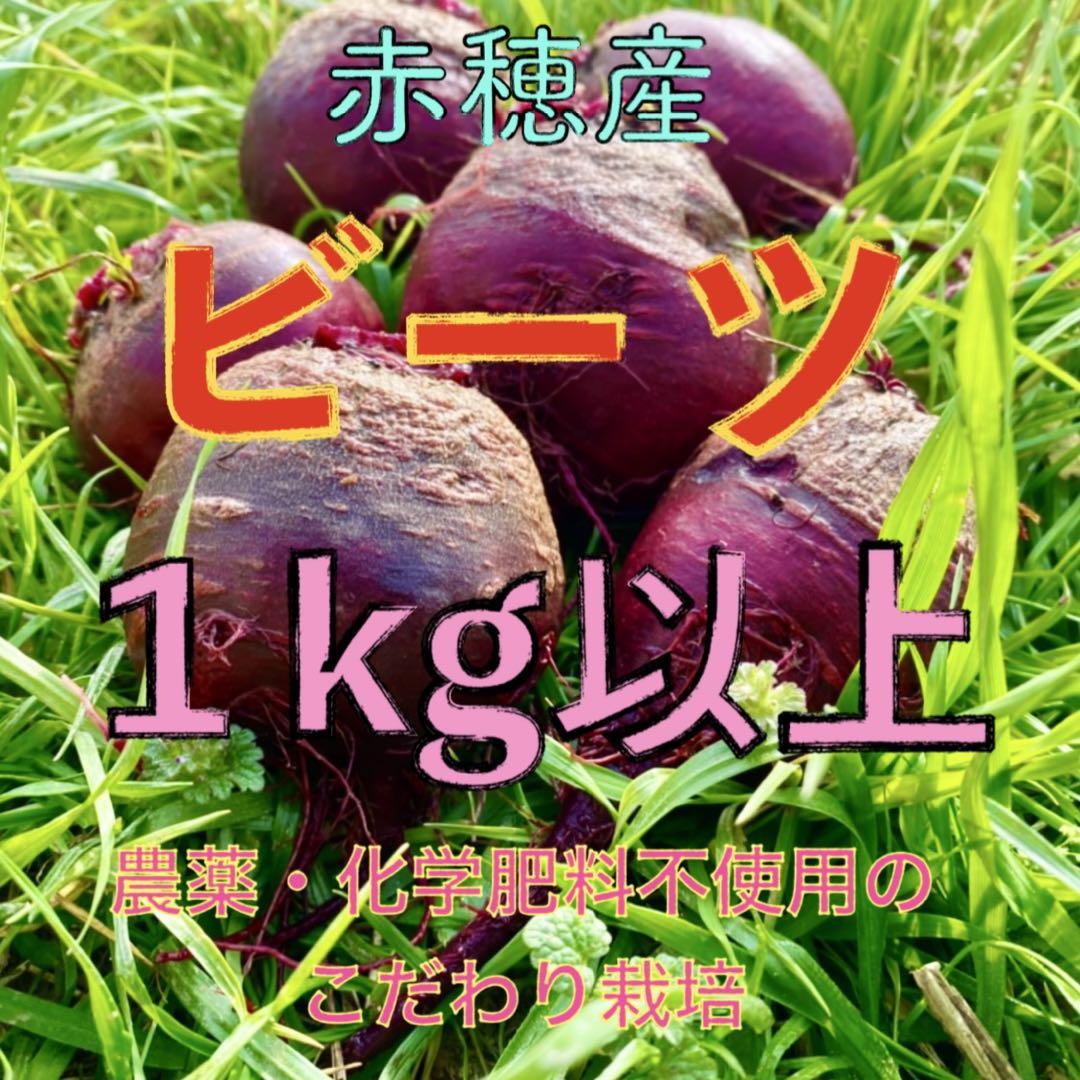畑のルビー‼️ 食べる輸血と話題の赤穂ビーツ - メルカリ