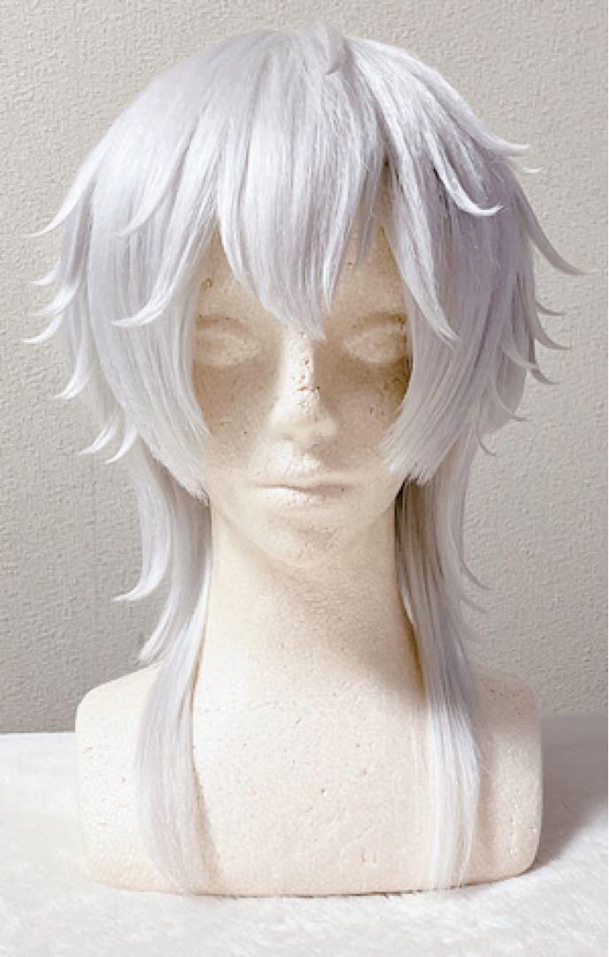 ウィッグオーダー専用ページ ズートピア ニックワイルド コスプレ ウィッグ（ディズニー