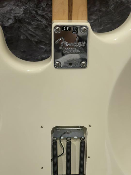 正規店特価№ フェンダーUSA プロフェッショナル ezktr-m56050893348 大人気安い