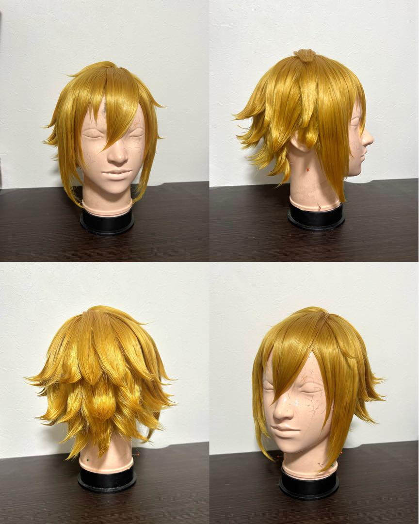 訳あり 最終値下げ】卯月コウ セット済 ウィッグ にじさんじ - メルカリ コスプレウィッグ
