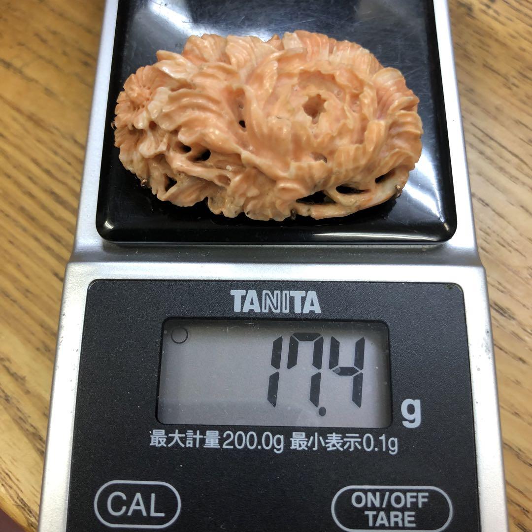 珊瑚帯留 k9