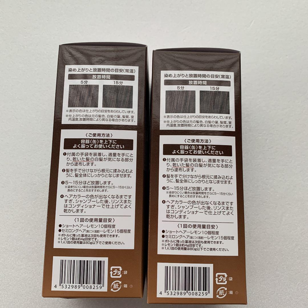 新作国産 ヘアボーテエクラ エアカラーフォーム2本 Q9Gqu-m56075862274 ボタニカル 新作入荷SALE