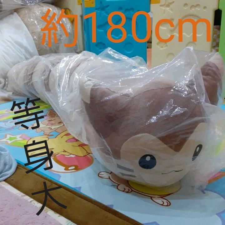 専用! 等身大 オオタチ ポケモン | bergosafety.com.br