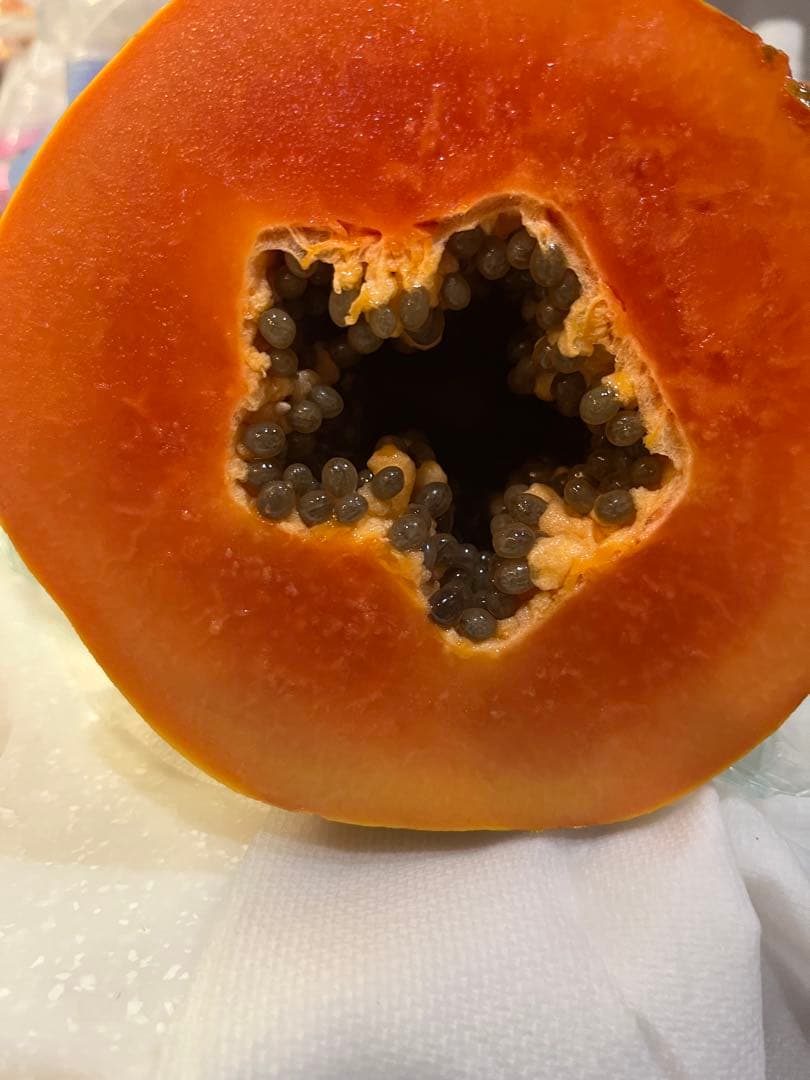 沖繩産フルーツパパイヤ5キロ… 沖繩産フルーツパパイヤ5キロ…