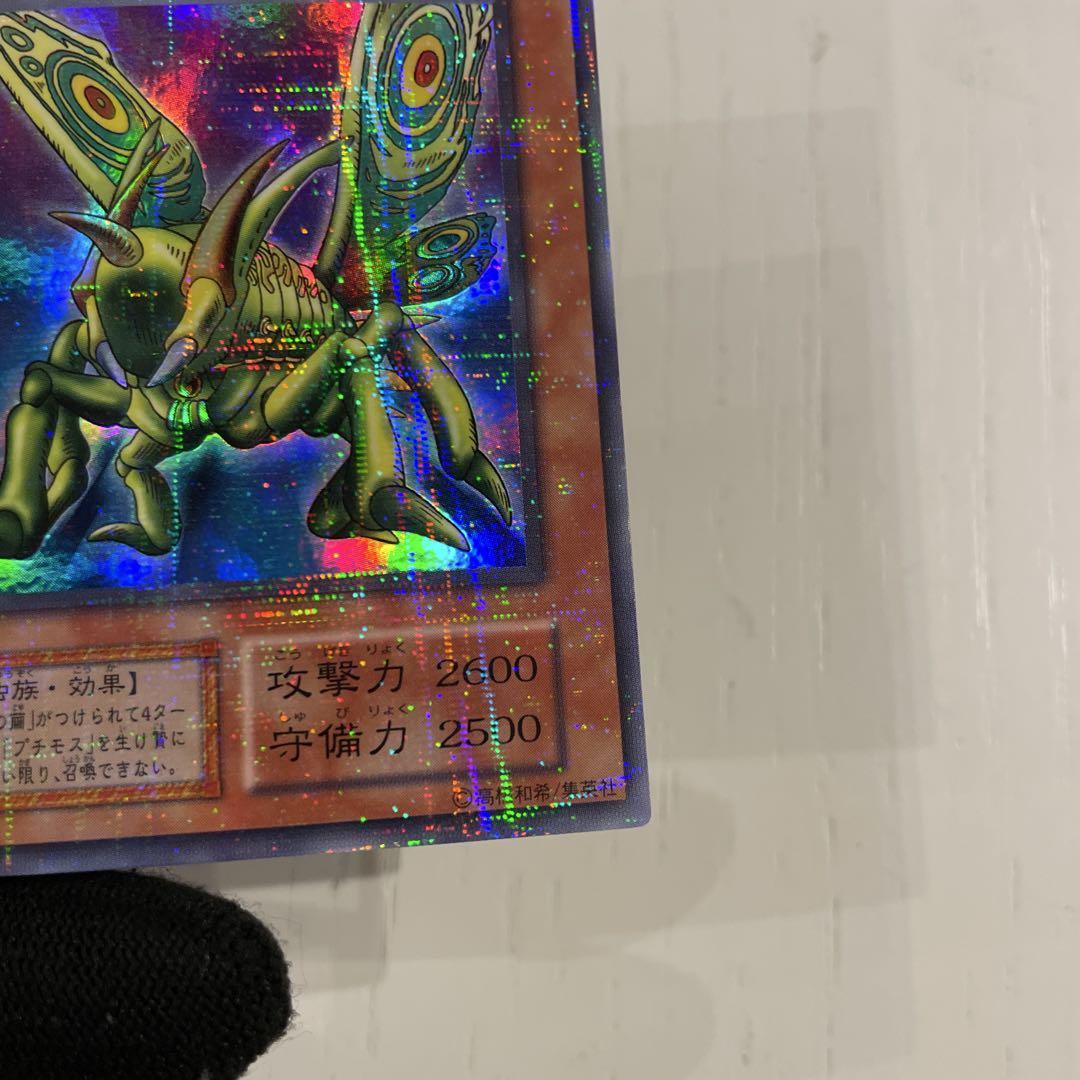 【極美品】【希少】　グレート・モス　初期　とても綺麗エキスパートルール　04環境