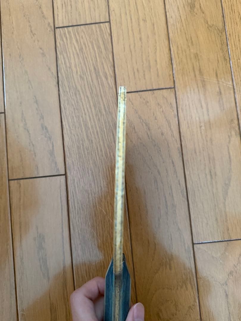 インナーフォース レイヤー ALC黒ディグニクス05赤テナジー05