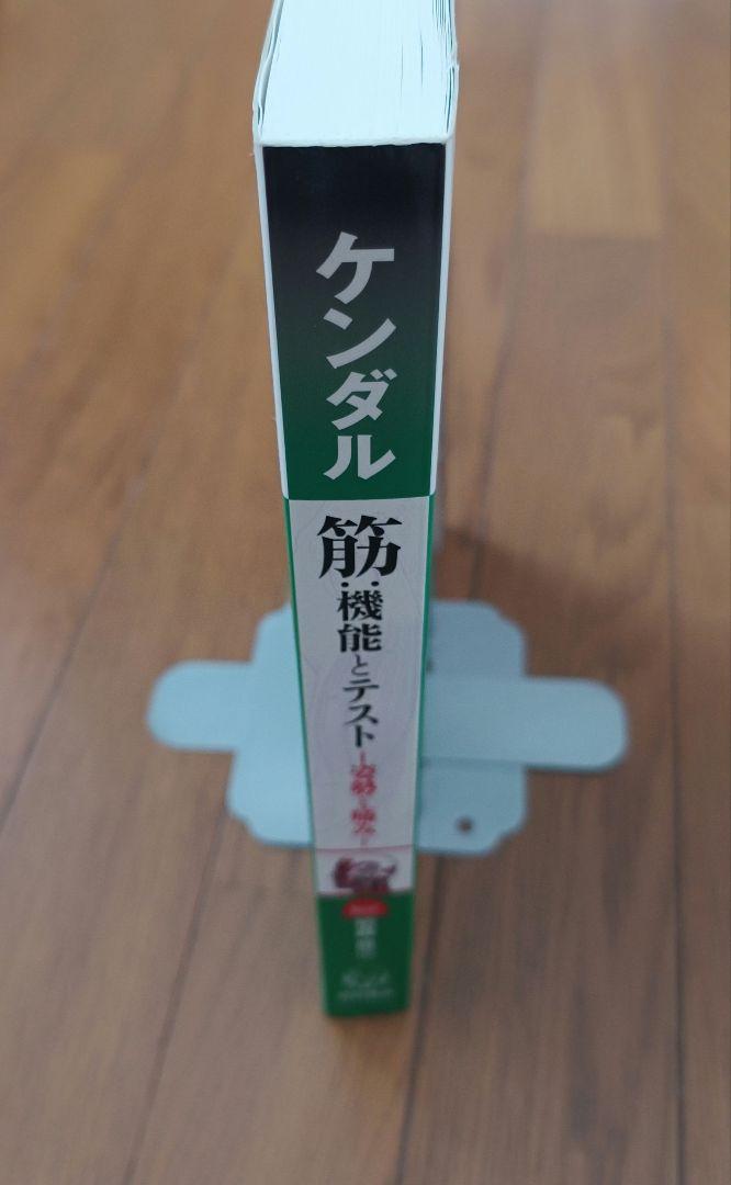筋:機能とテスト : 姿勢と痛み
