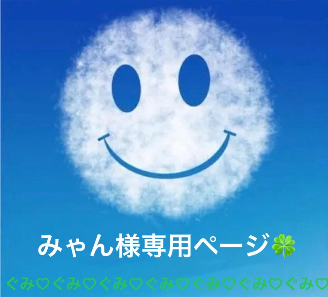ジャグアタトゥーシール 蝶々 AC〜014 二週間持ちます