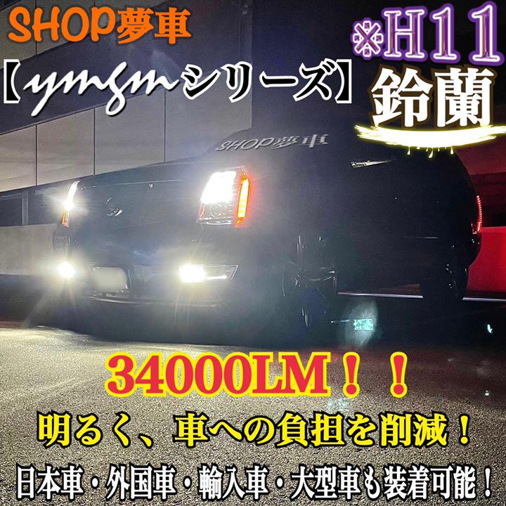 受賞店 新発売❗️34000LM‼️フォグランプ LED 向日葵✨外車も可 イエロー H11 www.ecovantagens.com.br 受賞店 新発売❗️34000LM‼️フォグランプ LED 向日葵✨外車も可 イエロー H11 www.ecovantagens.com.br