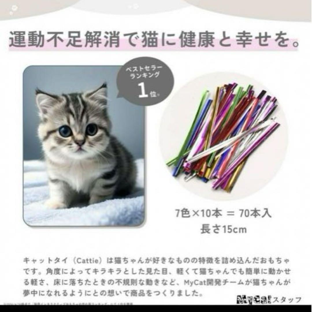 子猫