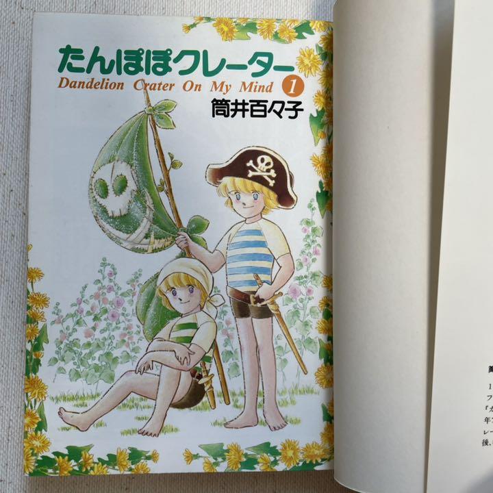 たんぽぽクレーター 全2巻 筒井百々子 小学館 プチフラワーコミックス たんぽぽクレーター 全2巻 筒井百々子 小学館 プチフラワーコミックス