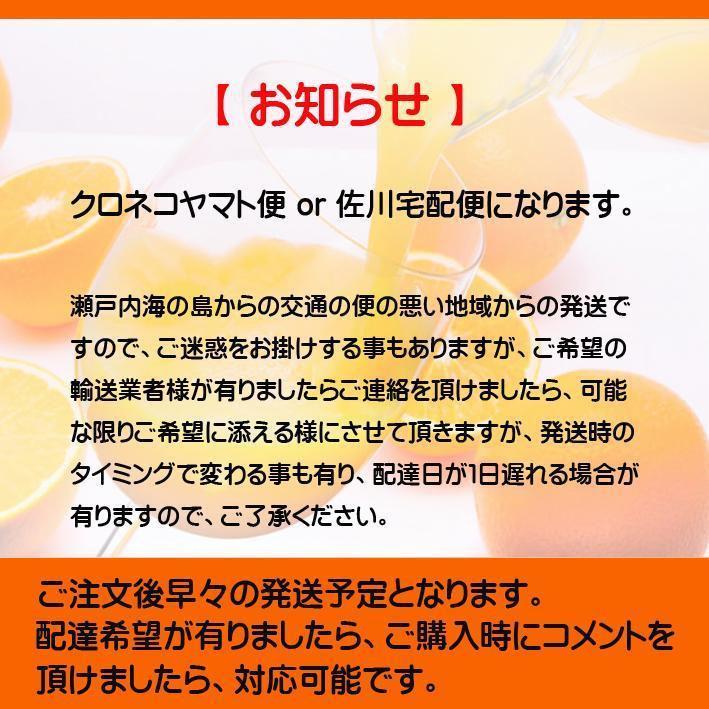 【評価27000！感謝企画】濃縮還元してないみかんジュース1000ｍｌ×12本