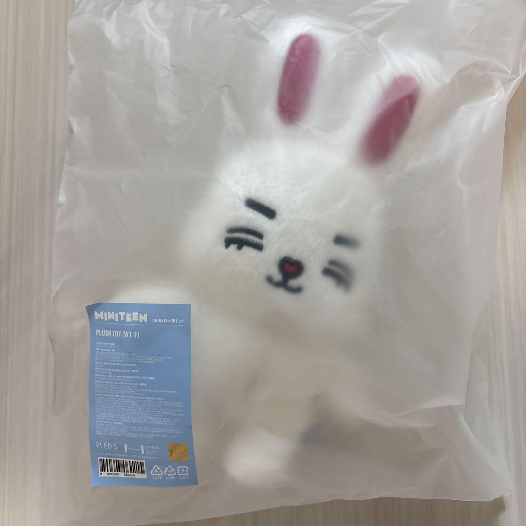 エスクプス ぬいぐるみ ミニティーン セブチ MINITEEN - メルカリ