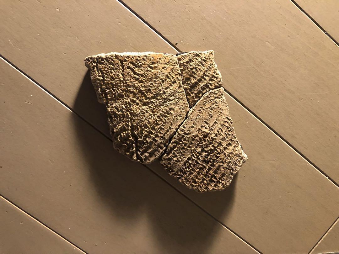 「縄文土器の欠片 No.502」です。