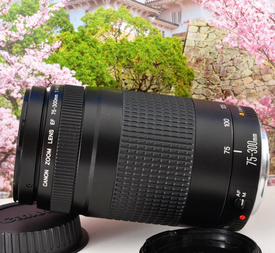 ★望遠レンズ 輝く今を望遠で！Canon キヤノン EF75-300mm #4 ☆望遠レンズ 輝く今を望遠で！Canon キヤノン EF75-300mm #4