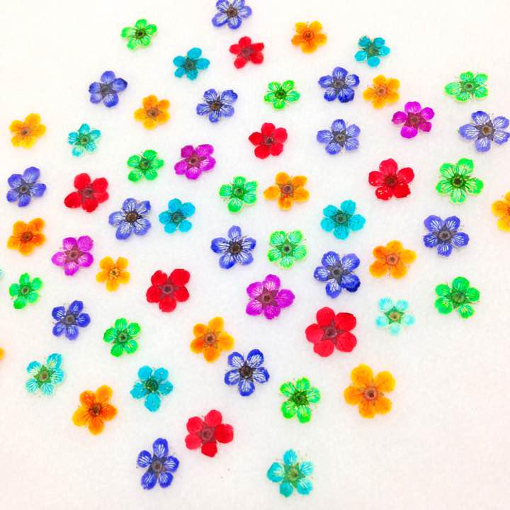 81 押し花セット✿即日発送♡ ハンドメイド 素材 小花-