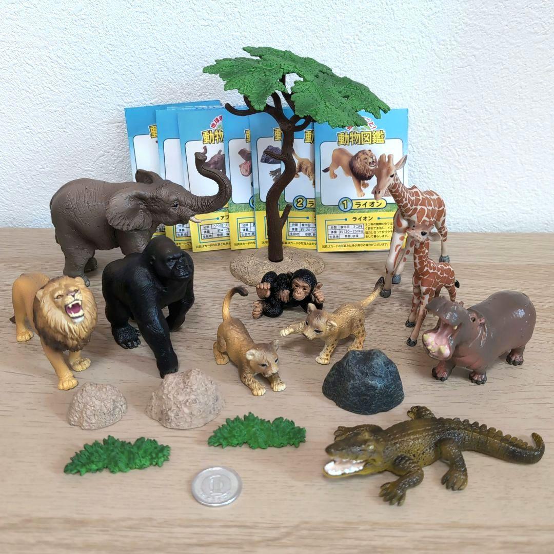 リーメント 動物図鑑 ワイルドアフリカ♥ミニチュア