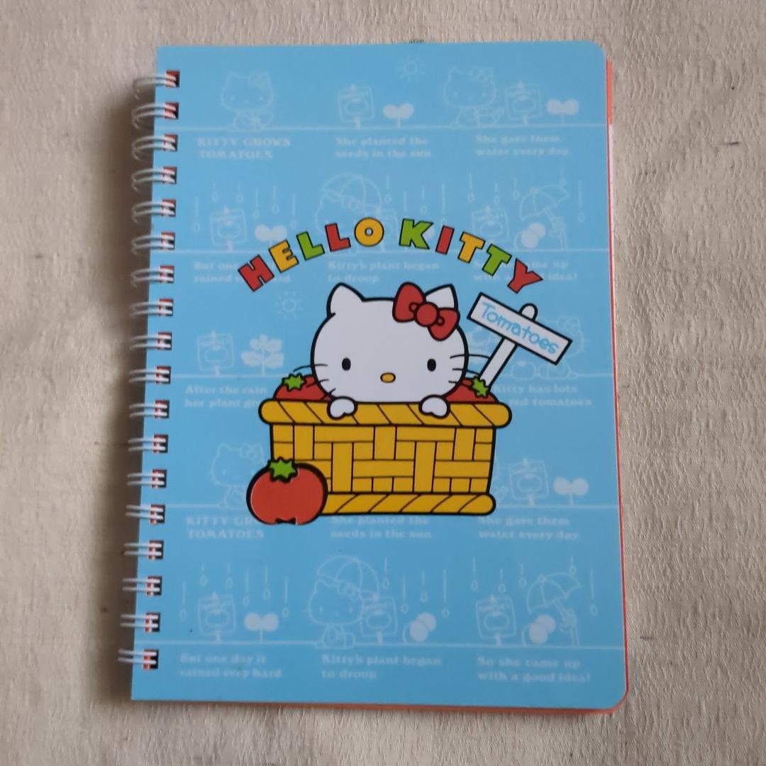 キティちゃんのリングノート ☆未使用 汚れあり - メルカリ