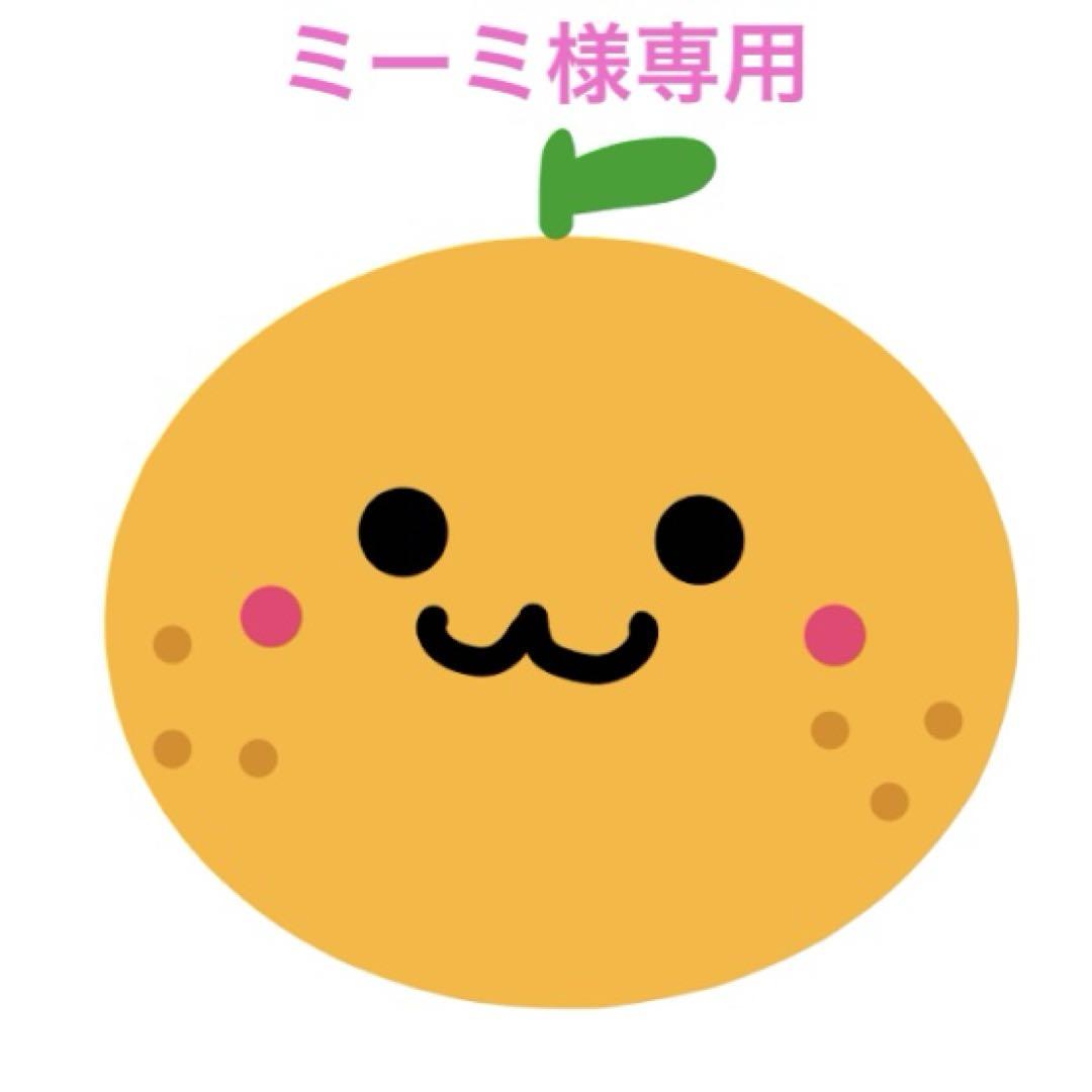 ミーミ様専用ページ