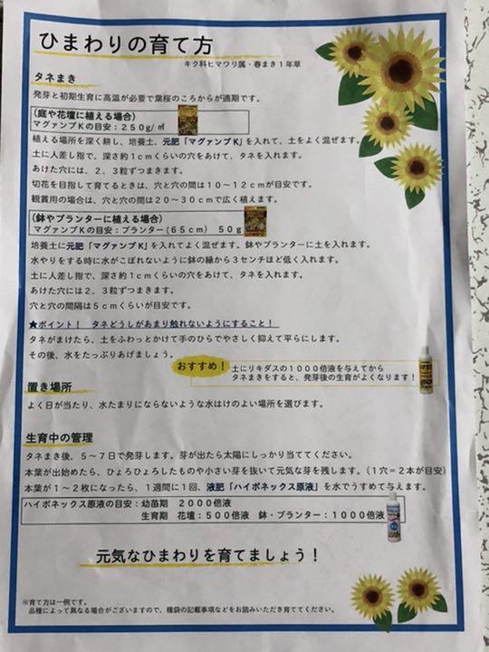 メルカリ ひまわりの種 元肥マグアンプk 肥料 冊子 植物 観葉植物 600 中古や未使用のフリマ メルカリ ひまわりの種 元肥マグアンプk 肥料 冊子 植物 観葉植物 600 中古や未使用のフリマ