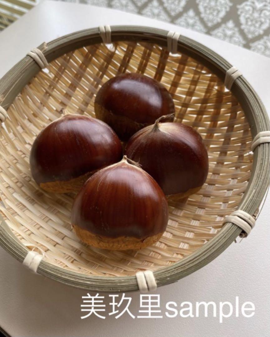 日本屈指の蜜柑県〟温州みかん B級品 10kg 和歌山県産 - 果物