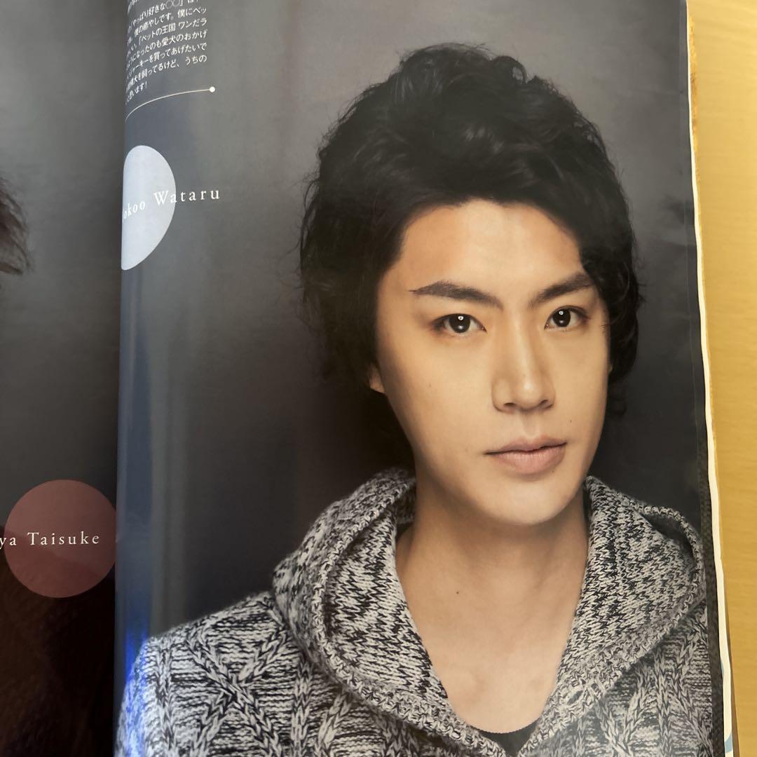 TVfan 2015年12月号