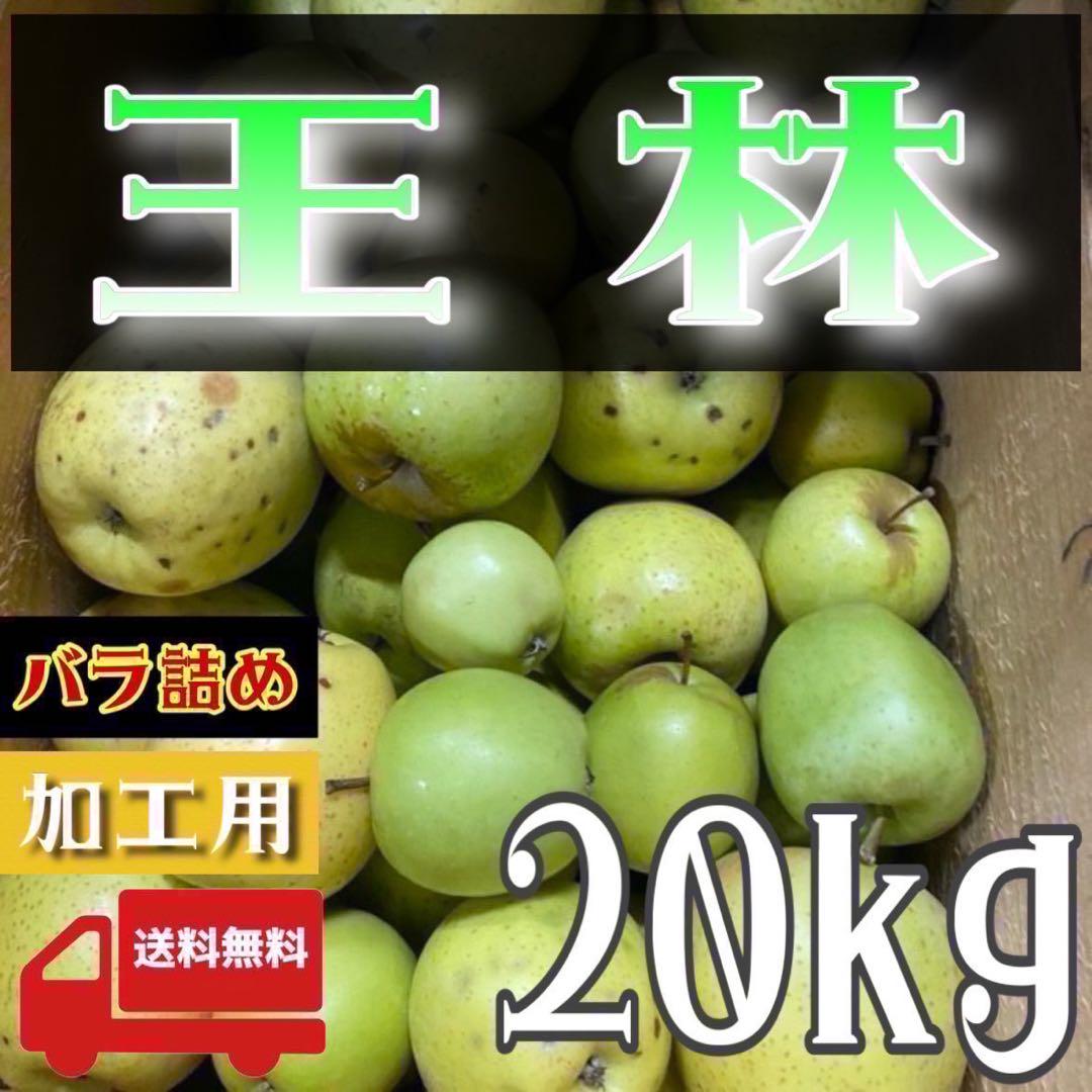 青森県産 ＂ 王林 ＂りんご 加工用 20kg 産地直送 リンゴ 林檎