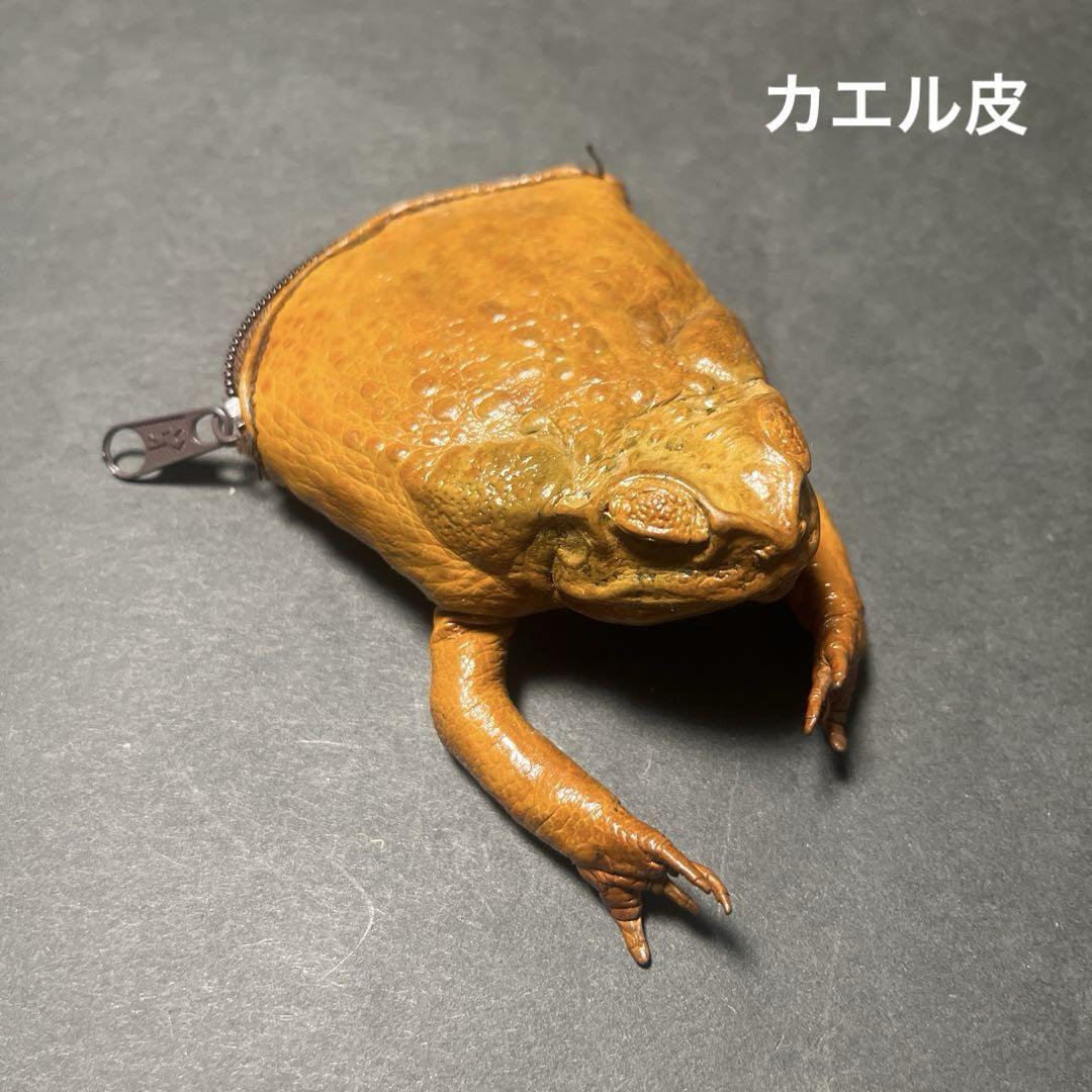 日本初の 本革 カエル型コインケース メルカリ - 小物