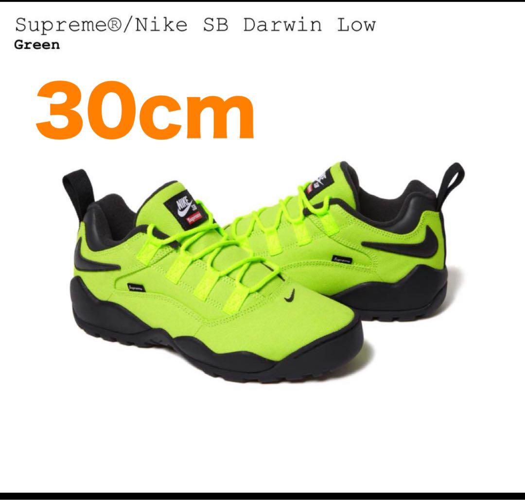 靴 Supreme x Nike SB darwin green