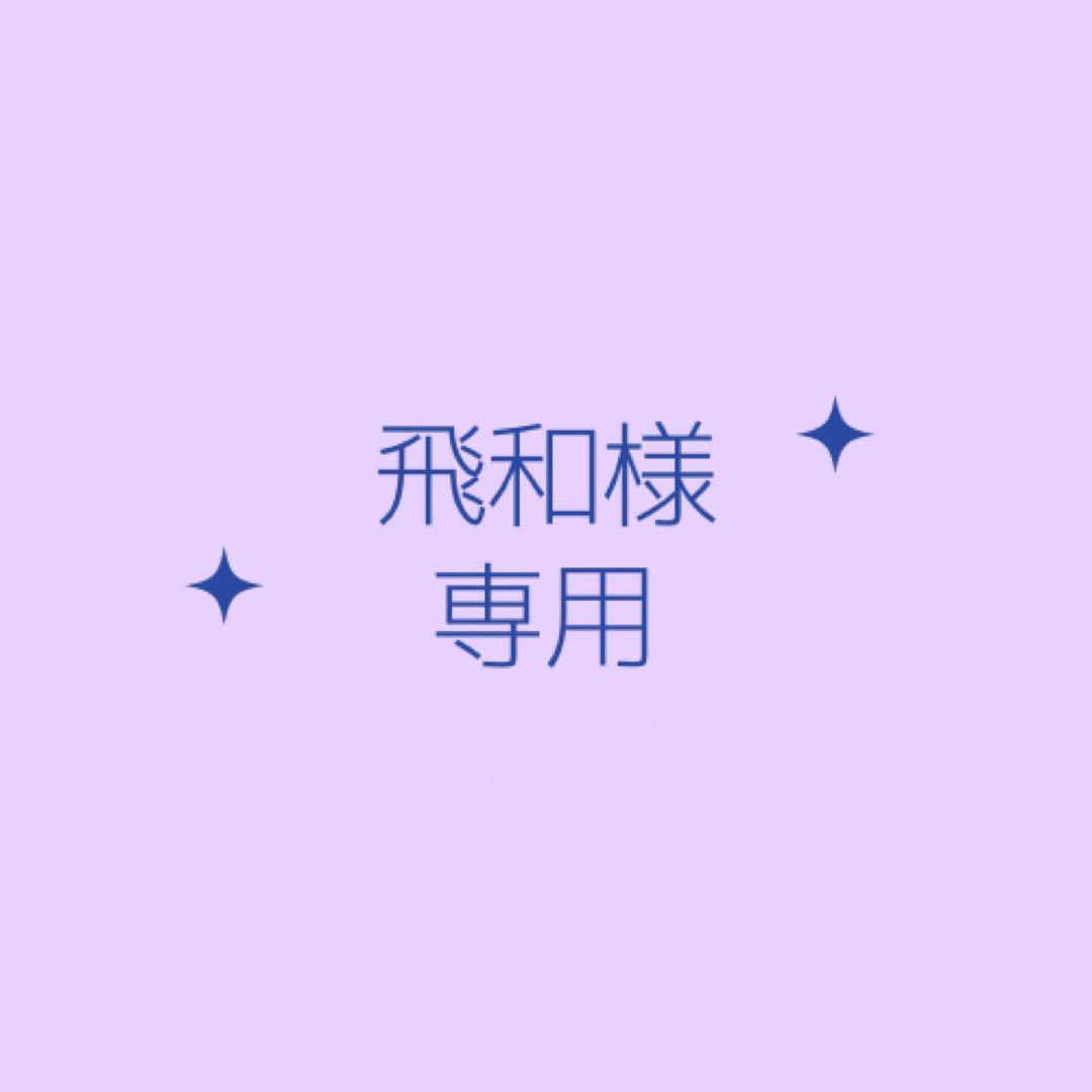 飛和様専用
