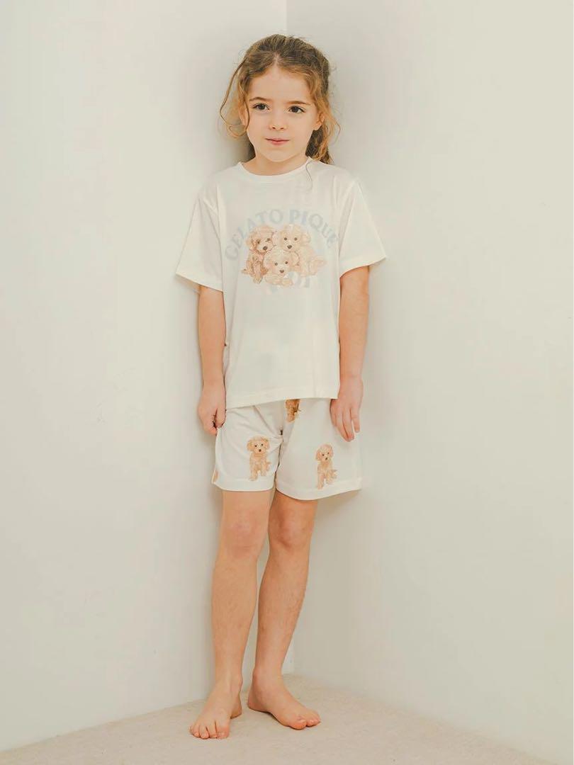 新品未使用】トイプードルワンポイントTシャツ&総柄ショート
