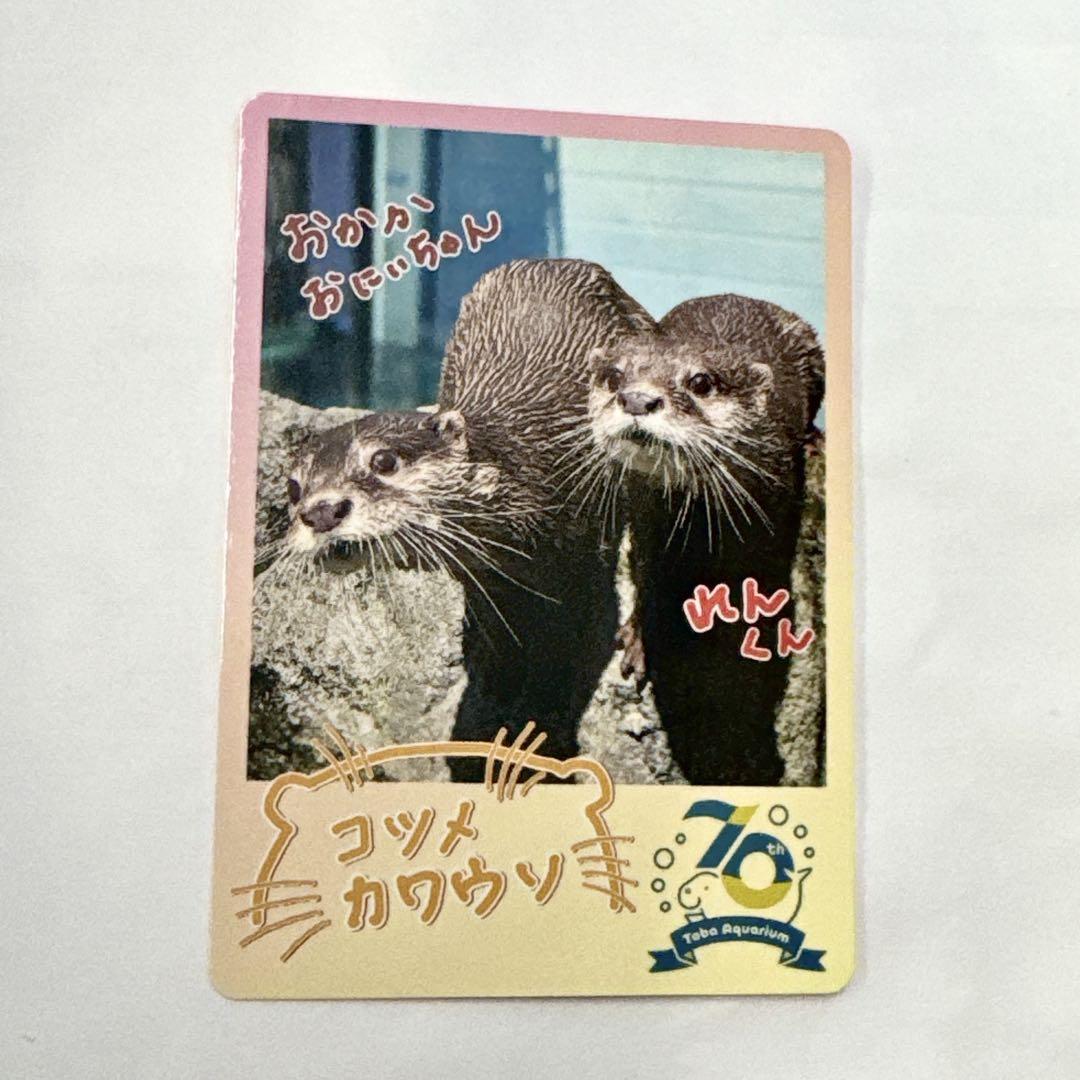 鳥羽水族館 70周年記念カード 新品未開封 コレクションカード 10個セット 鳥羽水族館 70周年記念カード コレクションカード 10パック