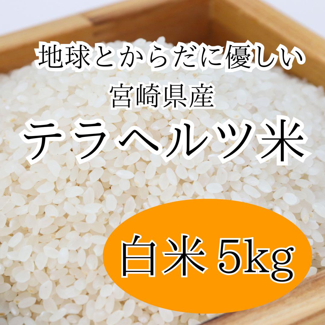 テラヘルツ米　5kg 白米
