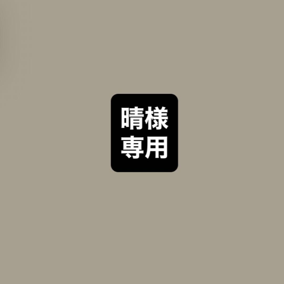 晴様専用
