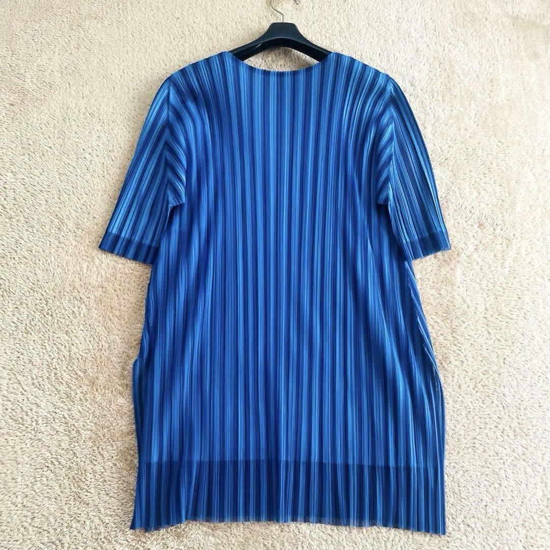 ✨未使用級✨近年 プリーツプリーズ イッセイミヤケ チェック丈