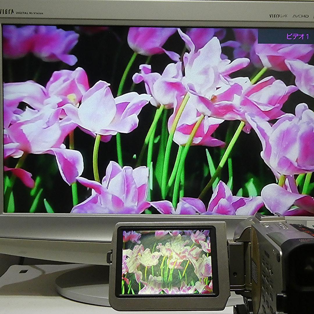 動作品 ソニー DCR-TRV20 MiniDV ビデオカメラ ダビングに最適!