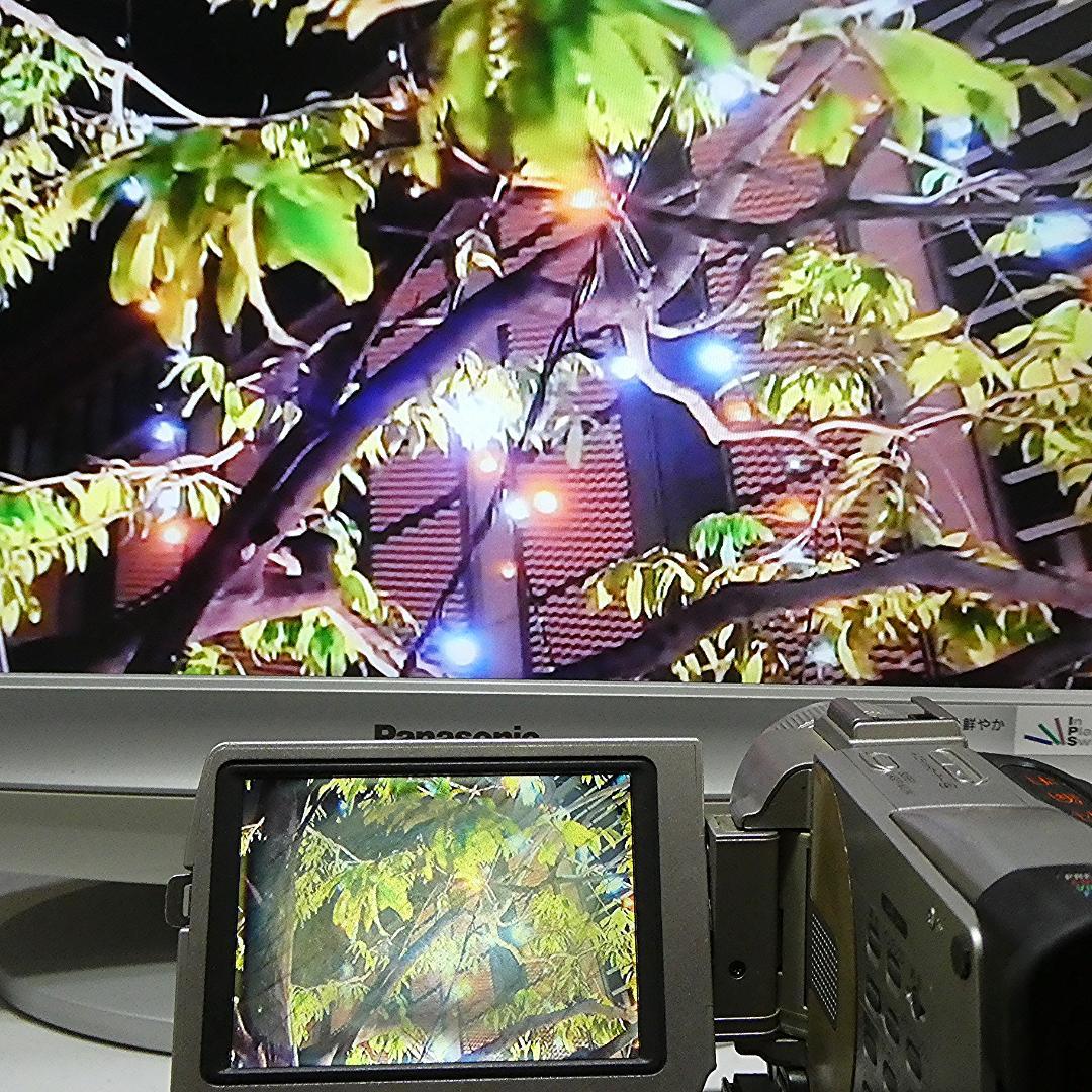 動作品 ソニー DCR-TRV20 MiniDV ビデオカメラ ダビングに最適!
