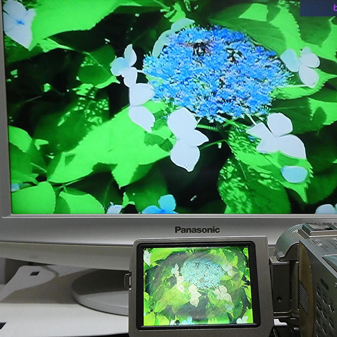 動作品 ソニー DCR-TRV20 MiniDV ビデオカメラ ダビングに最適!