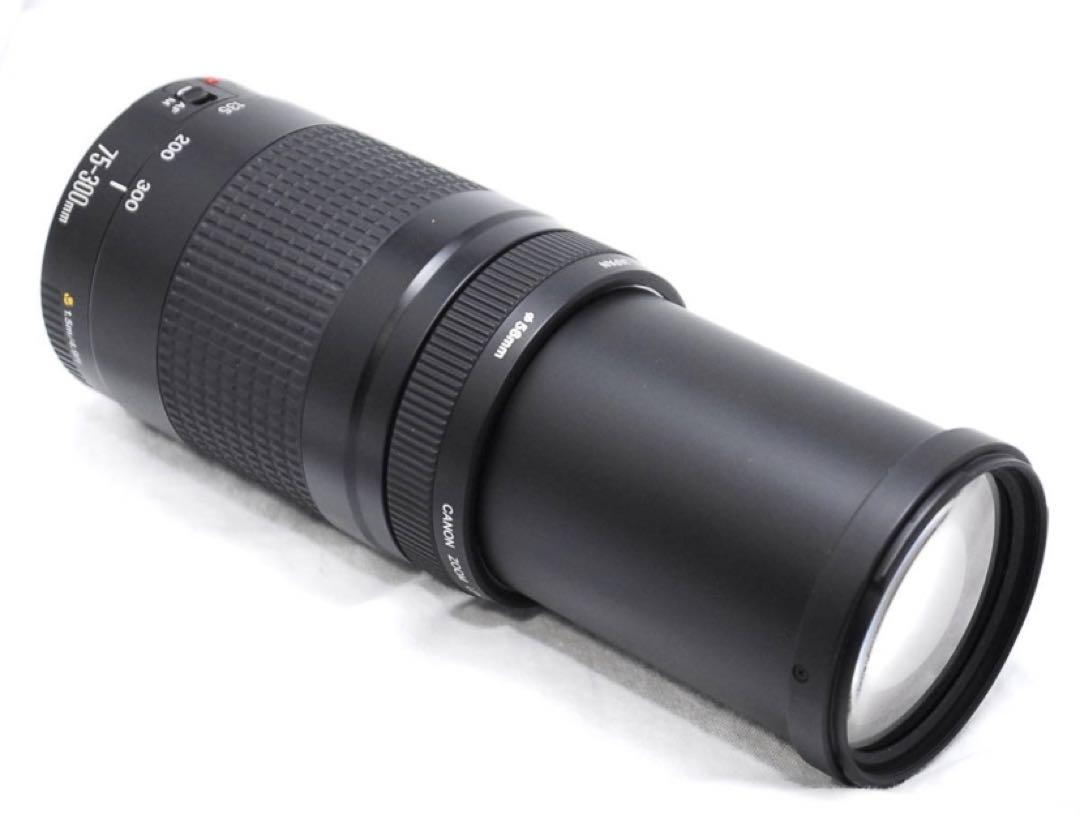デジタル一眼レフカメラ Canon EF 75-300㎜ F4-5.6 Ⅱ - メルカリ