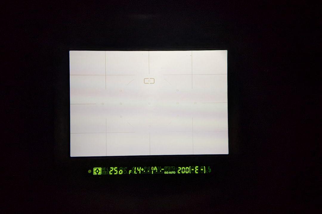 Nikon D200 デジタル一眼レフカメラ