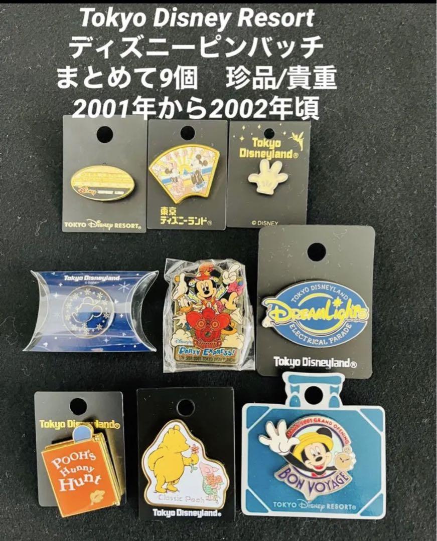 Tokyo Disney Resort ディズニーピンバッチ 9個 A②