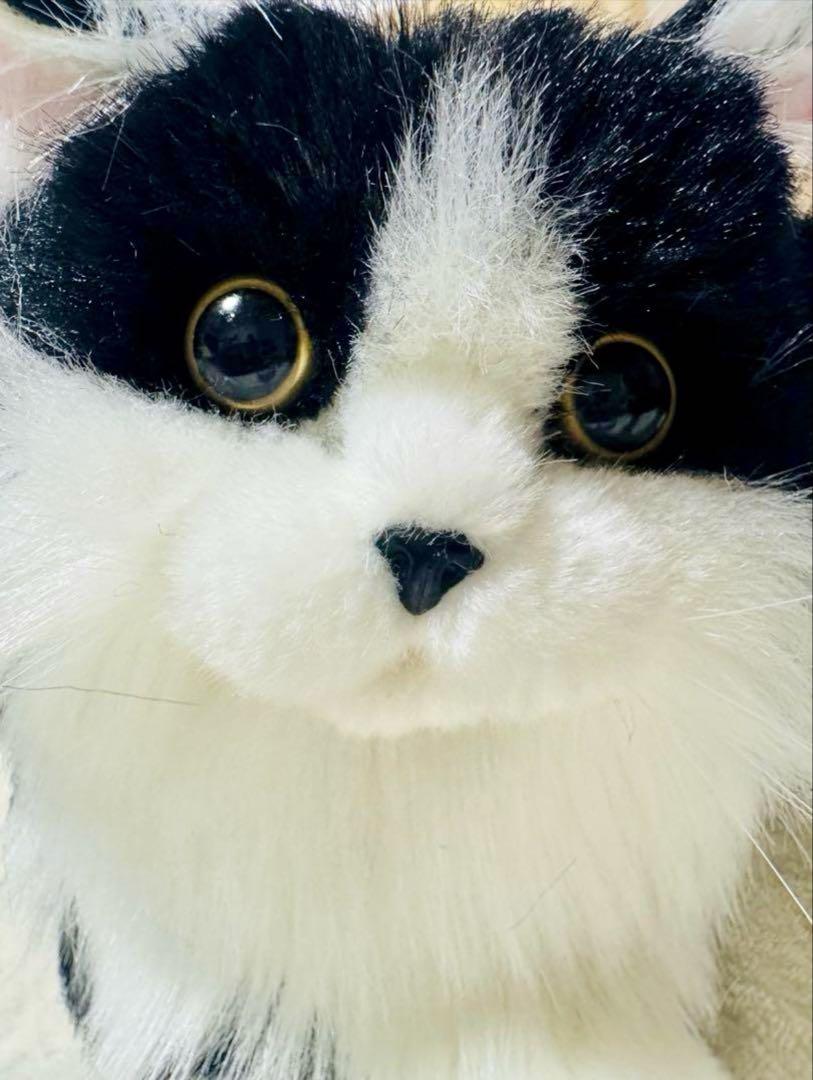 Amazon.co.jp: 猫 ネコ 置物 ぬいぐるみ リアル 抱き枕 黒猫 白