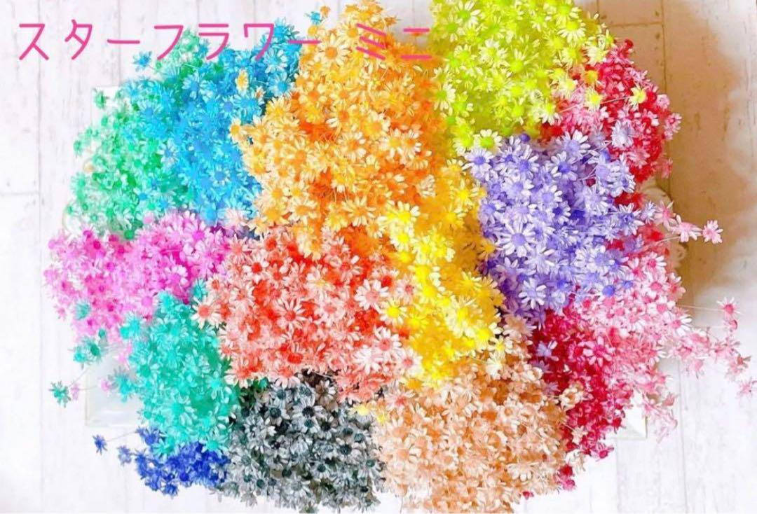 花様専用