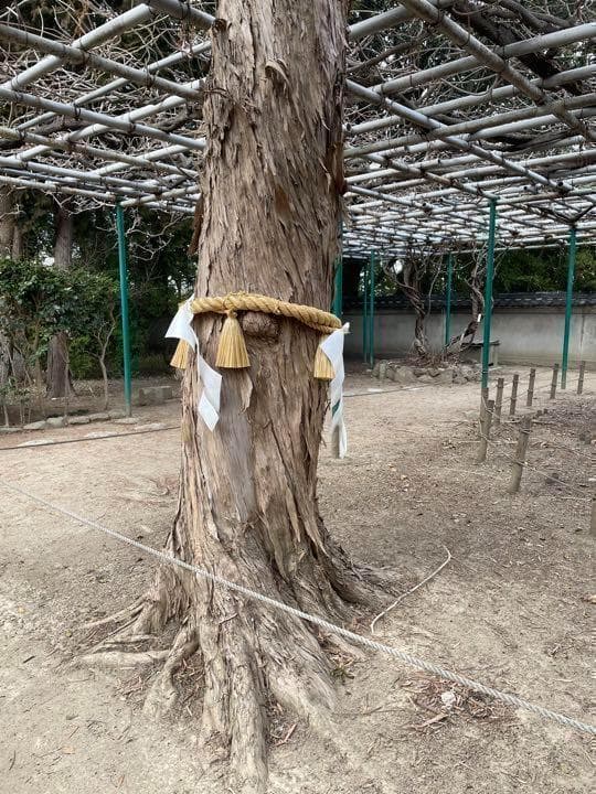 白魔術師の結界魔術 最強縁切り 占い 霊視鑑定 効果あり 強力