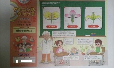 デイリー サピックス （サイエンス・ウォッチ）３年 理科／全１７回 ２０１９年