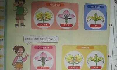 デイリー サピックス （サイエンス・ウォッチ）３年 理科／全１７回 ２０１９年