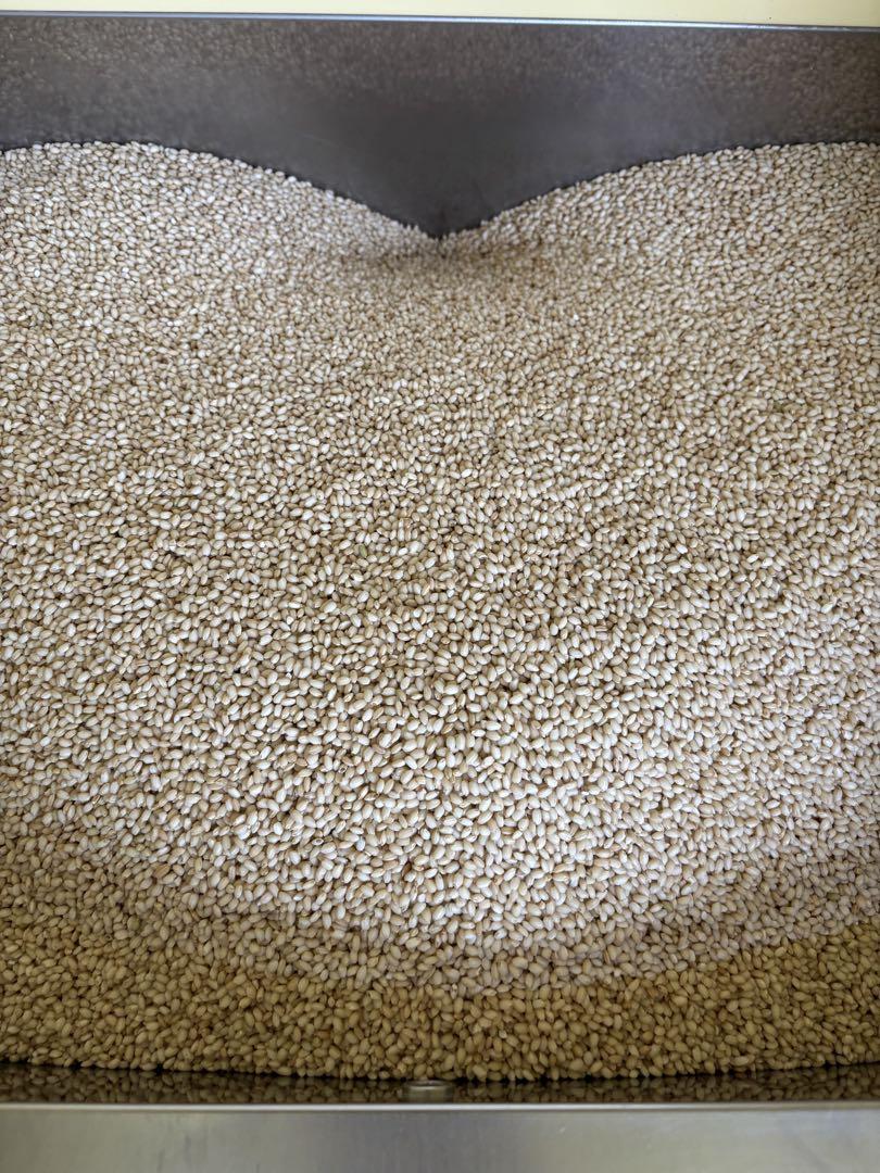 令和6年産もち米　玄米30kg 福島県産