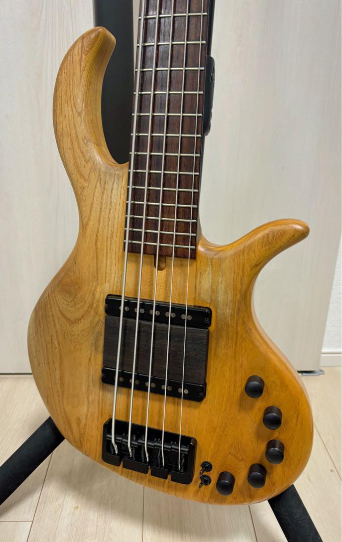 Elrick Gold Series e-volution 5弦 Natural